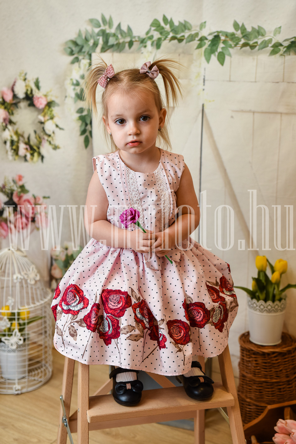 MJF_0831