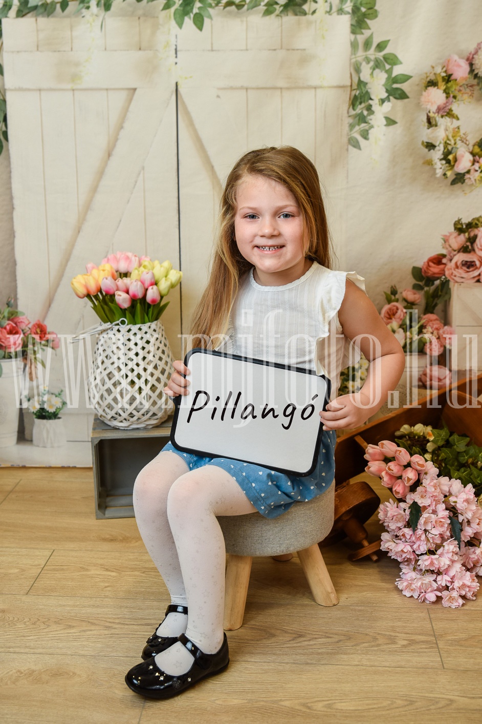 MJF_0866jel